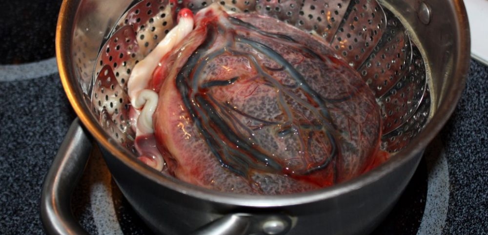 Manger du placenta : cannibalisme ou aliments sains ?